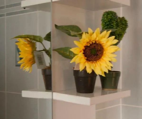 Σπίτι διακοπών Minas-maria House Κάρπαθος